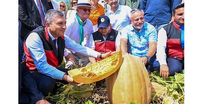 Döşemealtı Camili Bal Kabağı coğrafi işaretli olacak