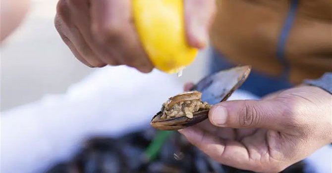 Midyeci, lokumcu ve restoran sahibi gözaltında