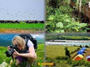 Ekoturizm alanlarından yılda 2 milyar lira katkı sağlıyor