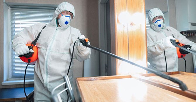 Otellerde ilaçlamalar sağlık açısından büyük riskler taşıyor!