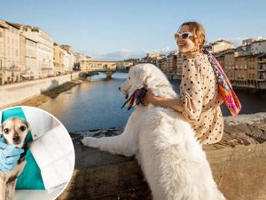 İtalyan turist kasabası, ziyaret eden köpeklere vergi koydu