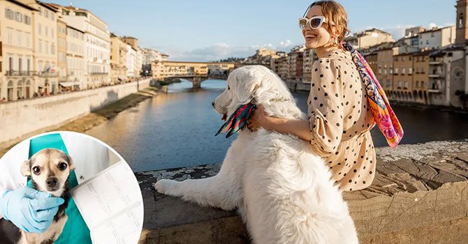 İtalyan turist kasabası, ziyaret eden köpeklere vergi koydu