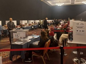 Japon devi Viber'i satın aldı