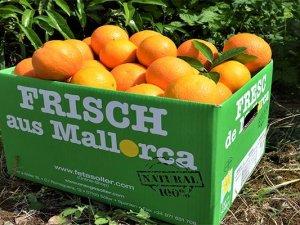 alltours'dan acentelere kasalarla portakal armağanı