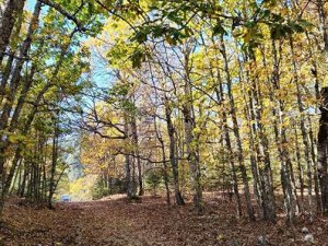 İzinsiz girenlere 557 bin TL ceza kesilecek!