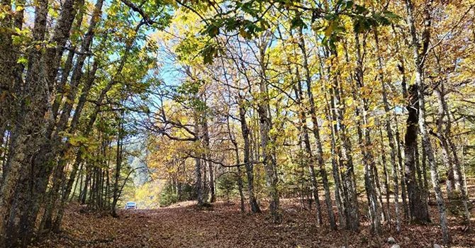 İzinsiz girenlere 557 bin TL ceza kesilecek!