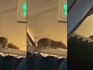 Fare yüzünden 254 KLM yolcusu uçakta mahsur kaldı