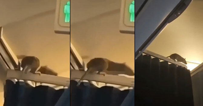 Fare yüzünden 254 KLM yolcusu uçakta mahsur kaldı