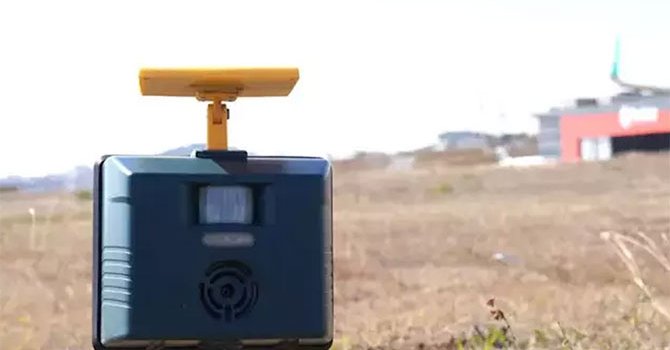 İstanbul ve Sabiha Gökçen'e 'kuş bilimcisi' yerleştirildi