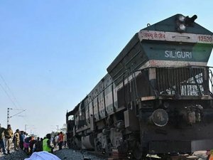Hindistan ekspres treni raylardan geçerken yedi fili öldürdü.