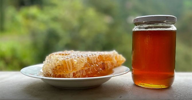 Kaçkar'ın orduyu devirecek kadar güçlü deli balı