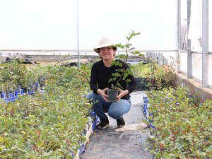 36 bin 500 keçiboynuzu fidanı toprakla buluştu!