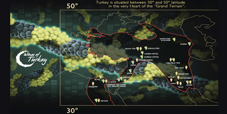 Türk şarapları Almanyada