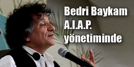Bedri Baykam, dünya yönetiminde
