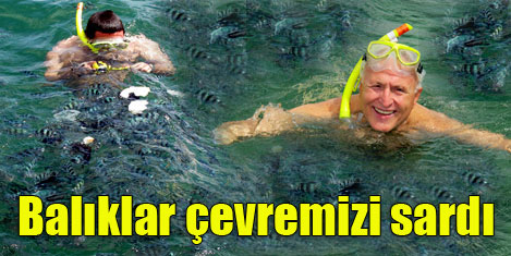 Balıklarla birlikte yüzdük- 3