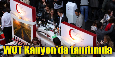 WOT üreticilerinin yurtiçi birliği