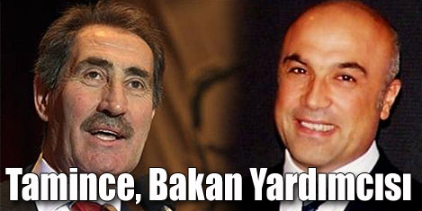 Tamince, Günayın yardımcısı