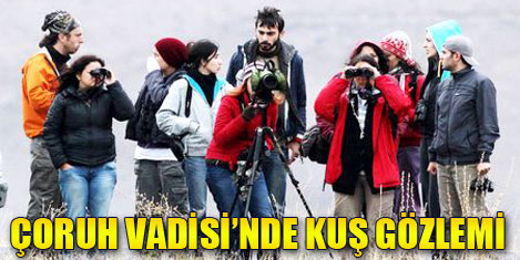 Çoruh Vadisi Kuş Gözlem Festivali