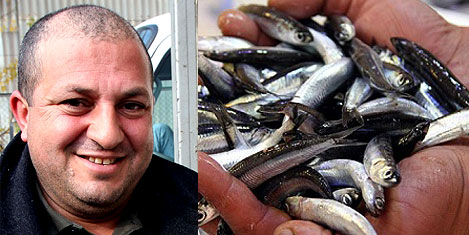 Hamsinin fiyatı arttı istavrit gözde