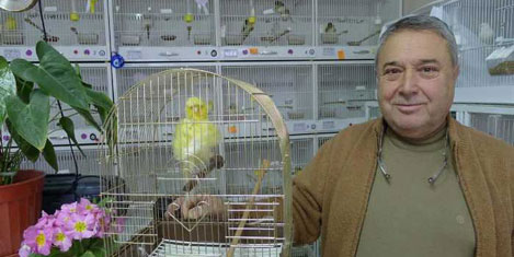 Kanaryalar ödülleri topladılar