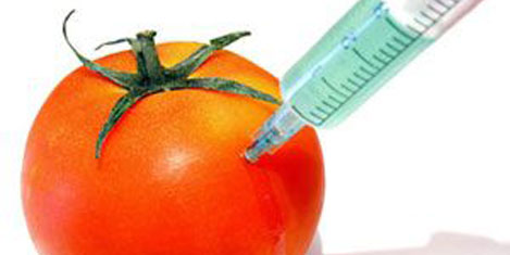 GDO'lu ürün ithalinde geri adım