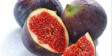 Rusya'dan Türkiyeye 'yeşil' koridor