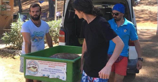 Almanların üçüncü ülkesi