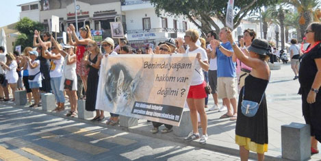 Hayvan hakları yasasına protesto