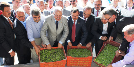 Zeytinde ortak talep destek primi