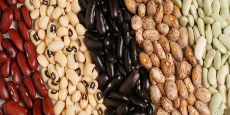Şeker hastalığına fasulye diyeti