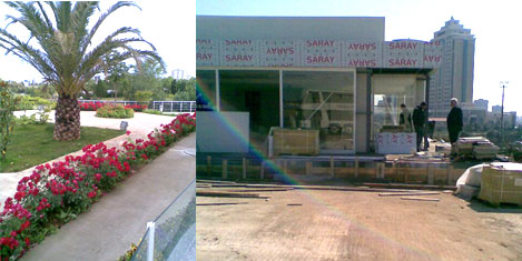 Ulusoy ve Varan: Ağaç kesmedik