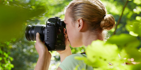 Dadayda sonbahar fotoğrafı