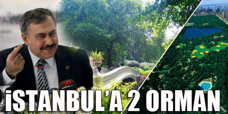 İstanbula iki orman geliyor