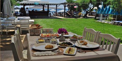 Mu Artta doğa ve müzik keyfi