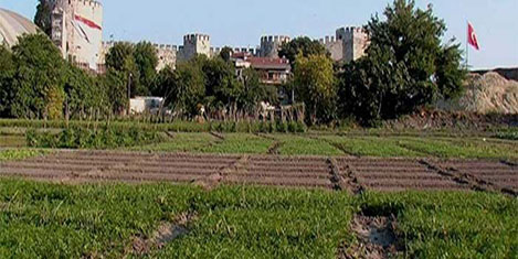 Tarihi Yedikule Bostanları talanı