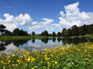 Yaylalarda aykırı yapı kayıt belgeleri iptal edilecek