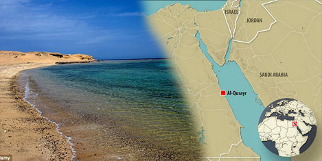 Kızıldeniz'de köpekbalığı dehşeti