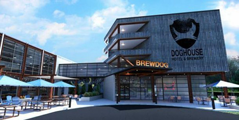 Brewdogta bira konsepli otel