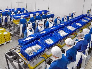 Balık devi Agromey, bağlı üç şirketi için konkordato istedi