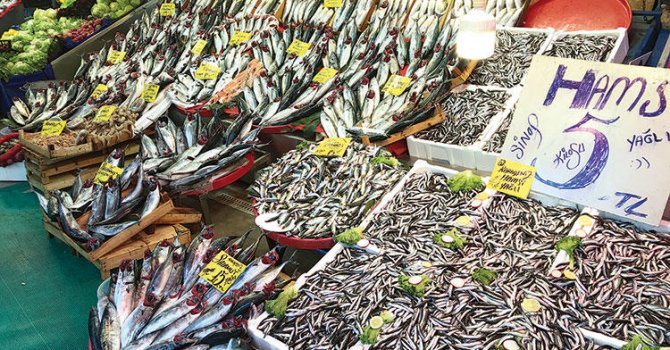 Balıkçılıkta 1 milyon tonla rekor kırıldı