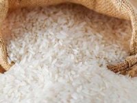 TMO, 48 bin ton pirinç ithal edecek