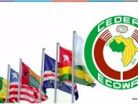 ECOWAS üyesi ülkeler ortak para birimine gidiyor