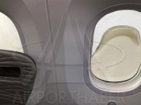 THY'nin yeni uçağı Dreamliner’ın camları eridi