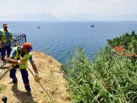 Muratpaşa Belediyesi falezlerde temizlik yaptı