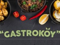 Türkiye Gastronomi Köyü, İstanbul da hayata geçiyor