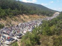 Binlerce kişi Kaz Dağları için yürüdü