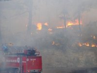 Manavgat'ın ciğerleri olan ormanlar yanıyor
