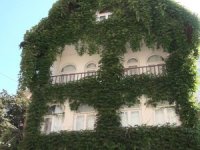 Giresunlu çevreci gurbetçinin evi ilgi odağı oldu 