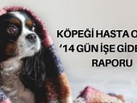 Köpeği hasta olana ‘işe gidemez’ raporu