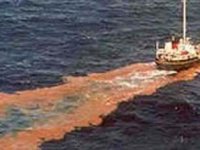 Çevreciler Marmara kirleniyor